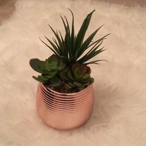 Faux cacti arrangement